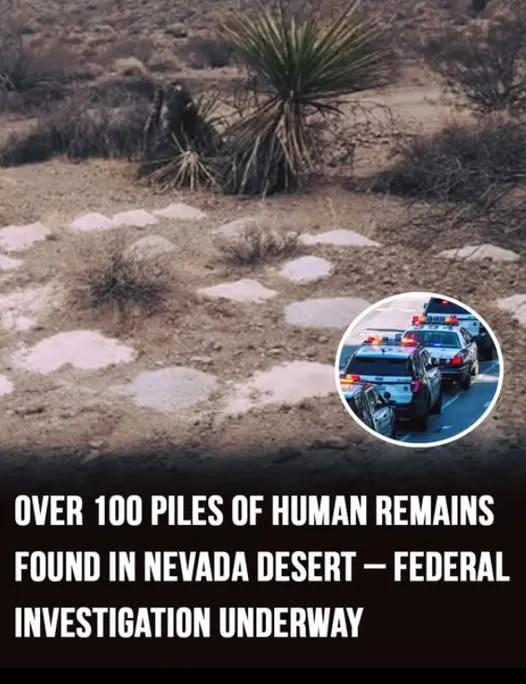 USAID Encrypted Chats Raise Questions About Internal Coordination, Fueling Political Tensions