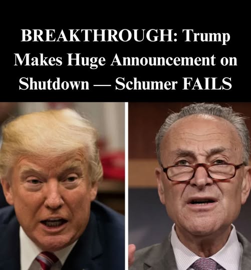 Air Traffic Controllers Union Boss Blasts Schumer, Dems For Prolonging Shutdown
