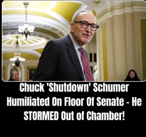 Schumer and Moreno Clash Over ACA Subsidy Extension Amid Prolonged Government Shutdown