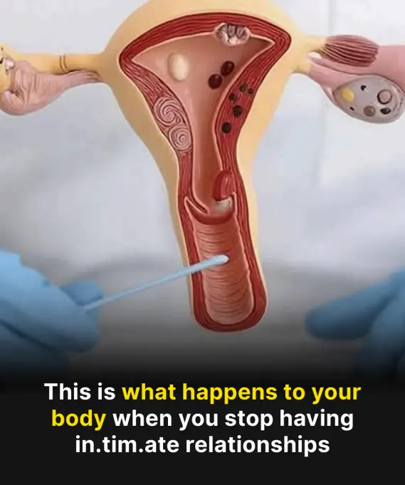 The Hidden Consequences of a S*xless Life